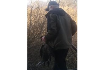 Jokić: Ubijen kormoran u NP Skadarsko jezero, hitno donijeti moratorijum na lov Jokić: Ubijen kormoran u NP Skadarsko jezero, hitno donijeti moratorijum na lov
