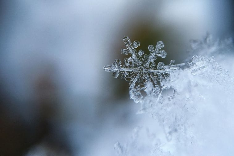 Na Žabljaku 75 centimetara snijega Na Žabljaku 75 centimetara snijega