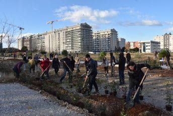 Zaposleni Univerziteta Crne Gore učestvovali u akciji sadnje u kampusu Zaposleni Univerziteta Crne Gore učestvovali u akciji sadnje u kampusu