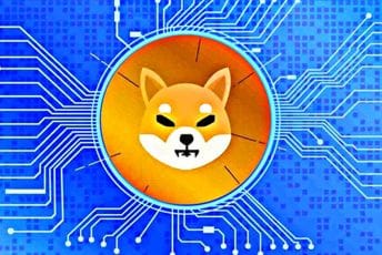 Shiba Inu najpopularniji