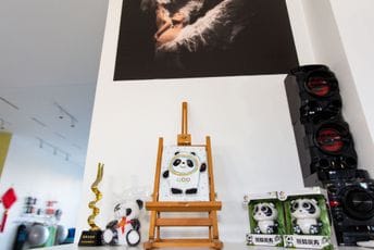 Baletska škola "Princeza Ksenija": Otvorena izložba posvećena Olimpijskim igrama u Pekingu Baletska škola "Princeza Ksenija": Otvorena izložba posvećena Olimpijskim igrama u Pekingu