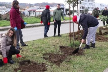 Akcija ozelenjavanja u Ulcinju, posađeno 1.200 sadnica Akcija ozelenjavanja u Ulcinju, posađeno 1.200 sadnica