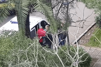 Pogledajte kako se predao Edin Begzić Pogledajte kako se predao Edin Begzić