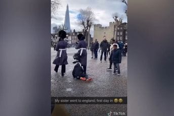 Britanska kraljevska garda "pregazila" dječaka tokom marširanja Britanska kraljevska garda "pregazila" dječaka tokom marširanja