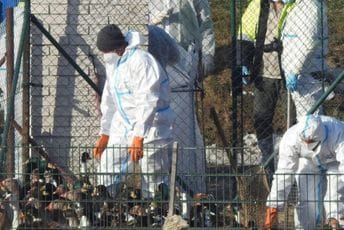 Evropom bjesni epidemija koja nema veze s koronom: Kraja nema na vidiku Evropom bjesni epidemija koja nema veze s koronom: Kraja nema na vidiku