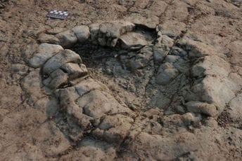Tragovi ranog dinosaura, utisnuti prije više od 200 miliona godina, pronađeni na plaži u Velsu Tragovi ranog dinosaura, utisnuti prije više od 200 miliona godina, pronađeni na plaži u Velsu