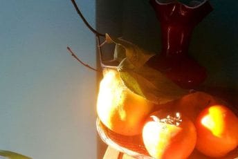 Žar Novih godina Žar Novih godina