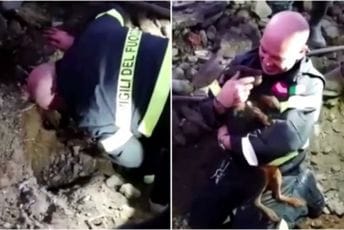 Video oduševio javnost: Vatrogasci golim rukama kopali zemlju da spasu pse Video oduševio javnost: Vatrogasci golim rukama kopali zemlju da spasu pse