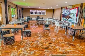 Neobični Tajlandski kafić s ribama koje plivaju oko posjetilaca Neobični Tajlandski kafić s ribama koje plivaju oko posjetilaca