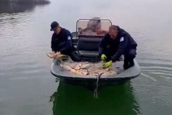 NPCG: Zaštitari ribljeg fonda Skadarskog jezera na meti krivolovaca na društvenim mrežama NPCG: Zaštitari ribljeg fonda Skadarskog jezera na meti krivolovaca na društvenim mrežama