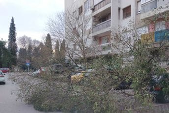 Nepogode u Podgorici: Vjetar čupao drveće, stradali i javna rasvjeta, mobilijar i semafori