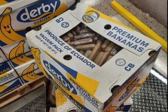 Otkriveno pola tone kokaina, nadzor i kontrola obavljeni po zahtjevu kompanije "Voli" Otkriveno pola tone kokaina, nadzor i kontrola obavljeni po zahtjevu kompanije "Voli"