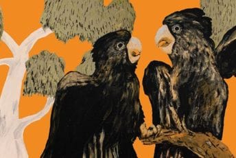 Australijancima Đoković baš i nije na prvom mjestu, ovih dana ih najviše zanimaju - ptice (AUDIO) Australijancima Đoković baš i nije na prvom mjestu, ovih dana ih najviše zanimaju - ptice (AUDIO)