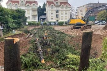 Green Home podnio inicijativu inspekciji zbog sječe stabala u Podgorici Green Home podnio inicijativu inspekciji zbog sječe stabala u Podgorici