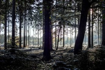 Pripremite se na velike hladnoće, čak i u Podgorici biće minus pet Pripremite se na velike hladnoće, čak i u Podgorici biće minus pet