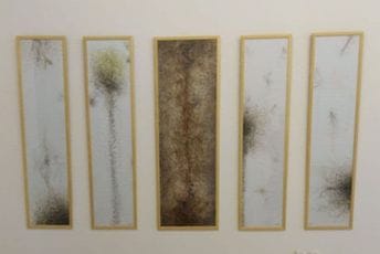 Lompar: Uživam samo u tišini koju mogu da „vidim“ Lompar: Uživam samo u tišini koju mogu da „vidim“