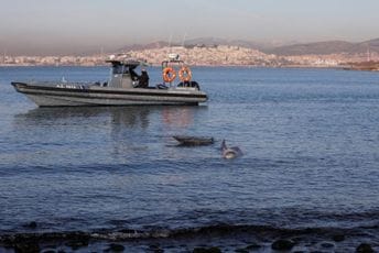 Nasukano mladunče kita spašeno kod Atine i pušteno na slobodu Nasukano mladunče kita spašeno kod Atine i pušteno na slobodu