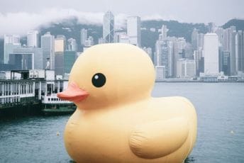 Kako su gumene patke pomogle naučnicima u razumijevanju okeana Kako su gumene patke pomogle naučnicima u razumijevanju okeana