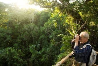 Studija: Na Zemlji još treba otkriti 9.000 vrsta drveća Studija: Na Zemlji još treba otkriti 9.000 vrsta drveća