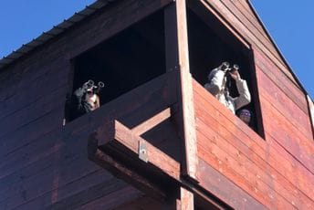 Povodom Svjetskog dana močvarnih staništa organizovana edukativna posjeta Skadarskom jezeru Povodom Svjetskog dana močvarnih staništa organizovana edukativna posjeta Skadarskom jezeru