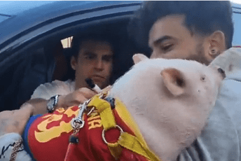 Fudbaler Barselone dobio bizarnu molbu i potpisao se na prase (VIDEO) Fudbaler Barselone dobio bizarnu molbu i potpisao se na prase (VIDEO)