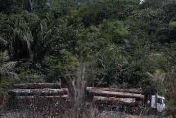 Sječa prašume Amazon prošlog mjeseca najveća od 2015. godine Sječa prašume Amazon prošlog mjeseca najveća od 2015. godine