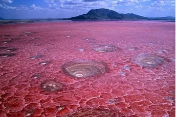 Pet najopasnijih jezera svijeta: Od tekućeg Černobila do vode koja mumificira Jezero Natron