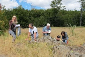 Uništavanje staništa je glavna prijetnja za biljke Uništavanje staništa je glavna prijetnja za biljke