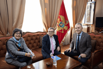 Žugić: Banke stabilne, dobro kapitalizovane i profitabilne Žugić: Banke stabilne, dobro kapitalizovane i profitabilne