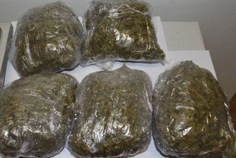 U graničnom pojasu Crne Gore i Srbije zaplijenjeno 40 kg marihuane