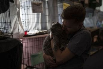 Veterinar iz Poljske spasio više od 260 ljubimaca iz ratne zone u Ukrajini Veterinar iz Poljske spasio više od 260 ljubimaca iz ratne zone u Ukrajini