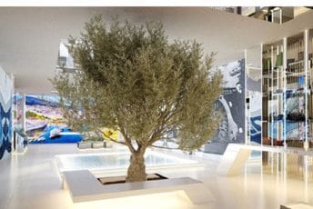 Dežulović: Dabogda crkli i Dubai i Hrvatska Dežulović: Dabogda crkli i Dubai i Hrvatska