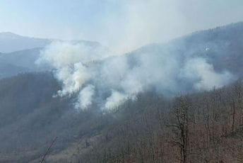 Gore napuštene kuće, plamen odnio hektare šume u Kolašinu