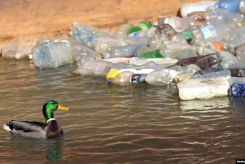 Mikroplastika prvi put pronađena u ljudskoj krvi Mikroplastika prvi put pronađena u ljudskoj krvi