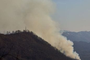 Vatra godišnje uništi blizu 100 kvadratnih kilometara šuma Vatra godišnje uništi blizu 100 kvadratnih kilometara šuma