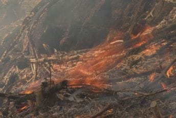 Tadić: Veliki broj požara u Nikšiću, kuće nijesu ugrožene Tadić: Veliki broj požara u Nikšiću, kuće nijesu ugrožene