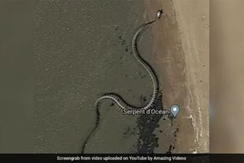 ‘Misterija’ gigantske zmije sa satelitskog snimka ‘Misterija’ gigantske zmije sa satelitskog snimka