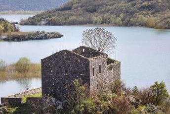 Stablo jasena razara zidove Vladičine kule Stablo jasena razara zidove Vladičine kule