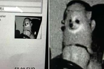 Najčudnija kazna za prekoračenje brzine: Kamera uhvatila psa za volanom Najčudnija kazna za prekoračenje brzine: Kamera uhvatila psa za volanom