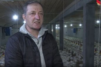 Zejak: Tokom sezone faliće pilećeg mesa Zejak: Tokom sezone faliće pilećeg mesa