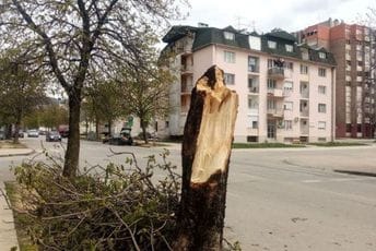 Vjetar u Nikšiću lomio stabla, stradali i krovovi Vjetar u Nikšiću lomio stabla, stradali i krovovi