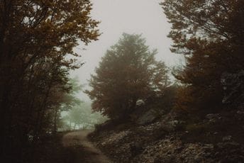 Đevojka se izgubila na Lovćenu, pronađena jutros Lovćen/Ilustracija