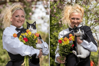 Vjenčala se s mačkom kako bi spriječila stanodavce da je izbace Vjenčala se s mačkom kako bi spriječila stanodavce da je izbace