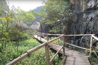 Vijetnam: Ilegalne drvosječe postaju turistički vodiči kroz džunglu Vijetnam: Ilegalne drvosječe postaju turistički vodiči kroz džunglu