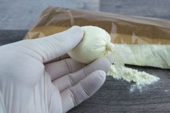 Estonija zaplijenila 3,5 tone kokaina, najveći dio bio namijenjen Rusiji Estonija zaplijenila 3,5 tone kokaina, najveći dio bio namijenjen Rusiji