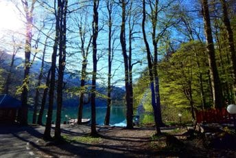 Otvaranje NP Biogradska gora u petak 29. aprila, ulaz besplatan Otvaranje NP Biogradska gora u petak 29. aprila, ulaz besplatan