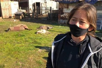 Nikšić: Izgorjeli objekti Slavke Adžović Nikšić: Izgorjeli objekti Slavke Adžović