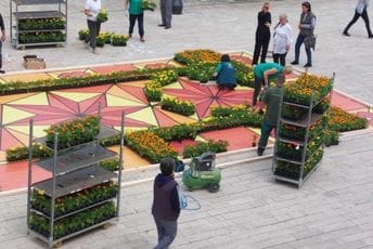 Cvjetni tepih na Cetinju u sklopu proslave Dana Evrope Cvjetni tepih na Cetinju u sklopu proslave Dana Evrope