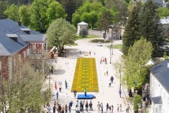 Svečano otvoren cvjetni tepih od 33.500 sadnica (FOTO) Svečano otvoren cvjetni tepih od 33.500 sadnica (FOTO)