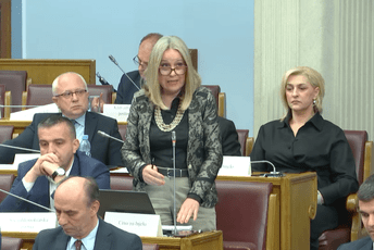 Jelušić: Negativna maskulinizacija političke scene je nastavak polarizacije i nasilja Jelušić: Negativna maskulinizacija političke scene je nastavak polarizacije i nasilja